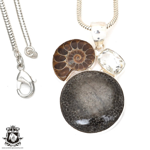 Stingray Coral Fossil Ammonite Pendant & Chain P7262