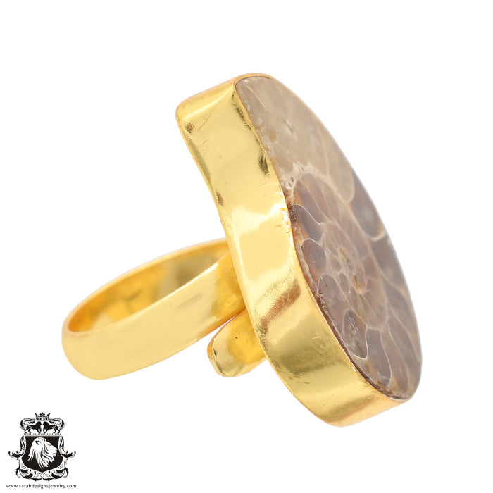 Size 8.5 - Size 10 Ring Ammonite 24K Gold Plated Ring GPR772