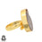 Size 9.5 - Size 11 Ring Ammonite 24K Gold Plated Ring GPR775