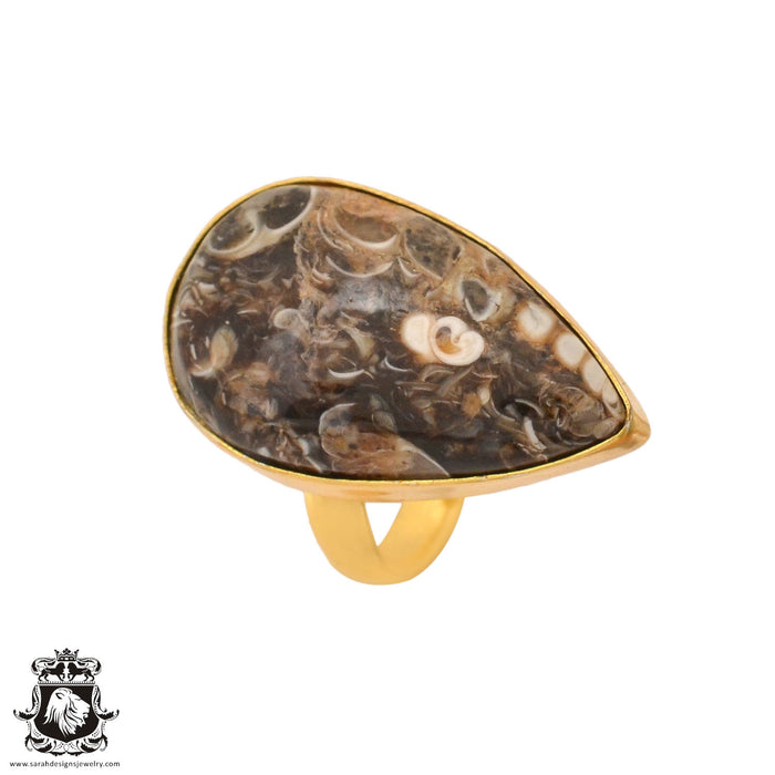 Size 7.5 - Size 9 Adjustable Turritella Agate Fossil 24K Gold Plated Ring GPR1021