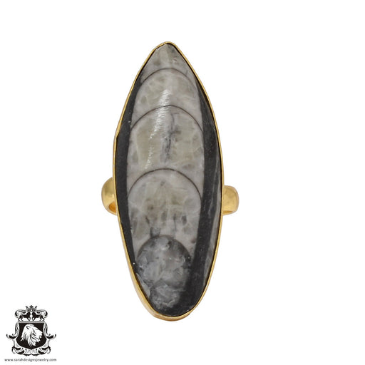 Size 6.5 - Size 8 Ring Orthoceras Fossil 24K Gold Plated Ring GPR460