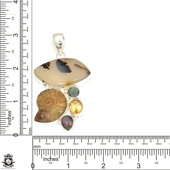Scenic Agate Ammonite Pendant & Chain P7709