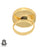 Size 8.5 - Size 10 Ring Gaspeite 24K Gold Plated Ring GPR712