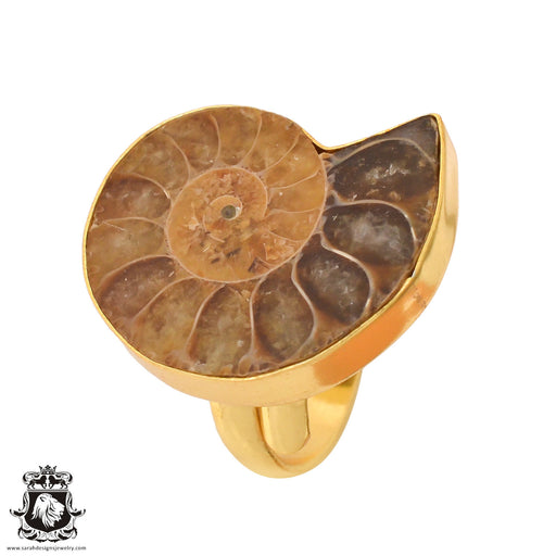 Size 8.5 - Size 10 Ring Ammonite 24K Gold Plated Ring GPR769