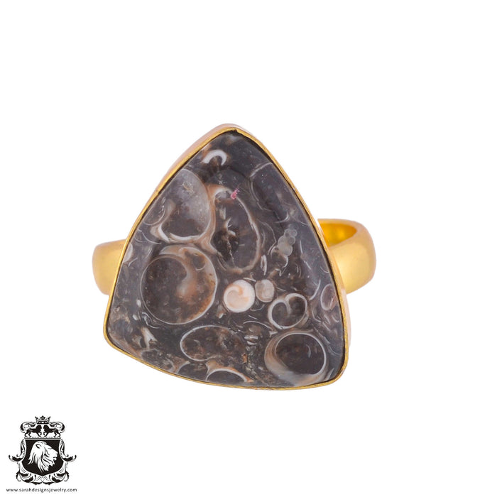 Size 9.5 - Size 11 Ring Turritella Agate Fossil 24K Gold Plated Ring GPR1022