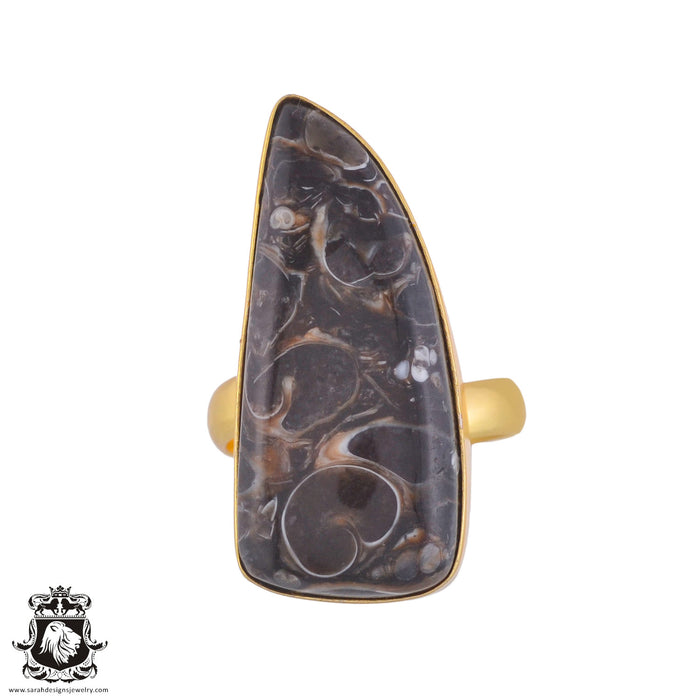Size 8.5 - Size 10 Adjustable Turritella Agate Fossil 24K Gold Plated Ring GPR1023