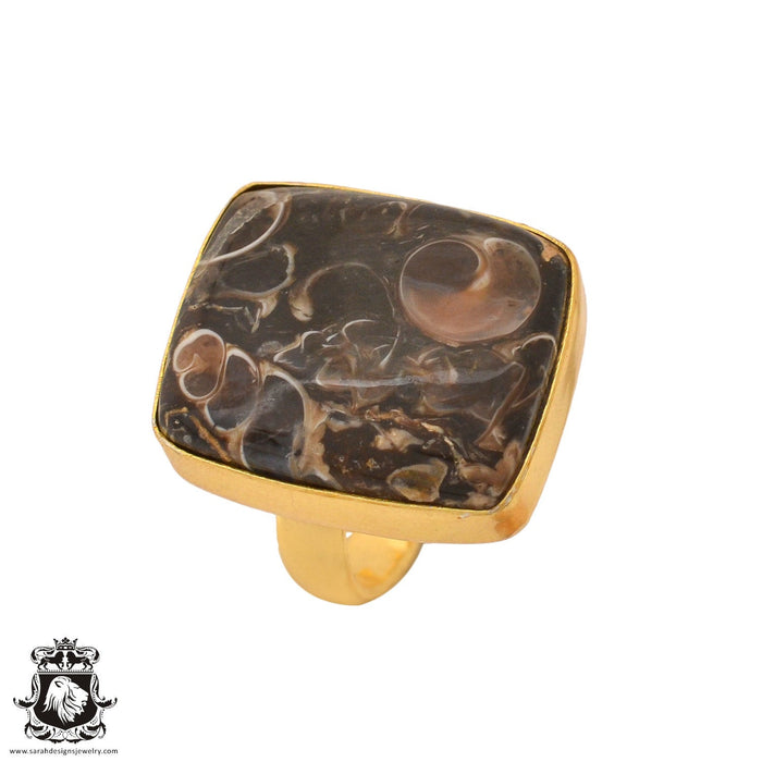 Size 7.5 - Size 9 Adjustable Turritella Agate Fossil 24K Gold Plated Ring GPR1029