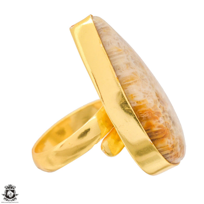 Size 7.5 - Size 9 Ring Fossilized Bali Coral 24K Gold Plated Ring GPR1342