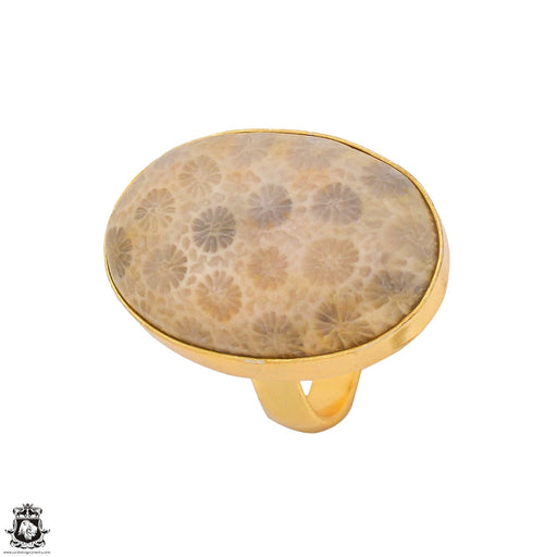 Size 8.5 - Size 10 Ring Fossilized Bali Coral 24K Gold Plated Ring GPR1347