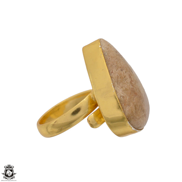 Size 6.5 - Size 8 Ring Fossilized Bali Coral 24K Gold Plated Ring GPR1735
