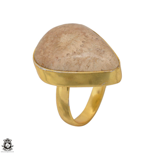 Size 6.5 - Size 8 Ring Fossilized Bali Coral 24K Gold Plated Ring GPR1735