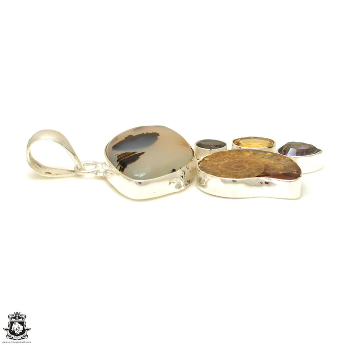 Scenic Agate Ammonite Pendant & Chain P7709
