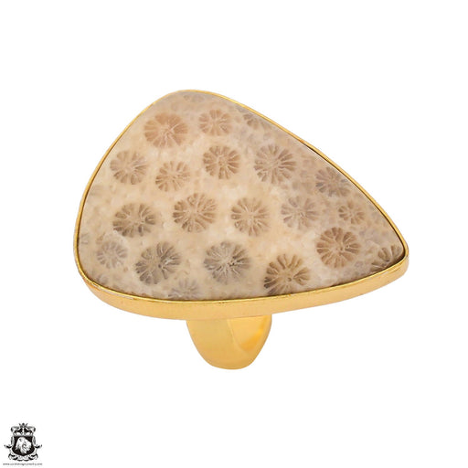 Size 8.5 - Size 10 Ring Fossilized Bali Coral 24K Gold Plated Ring GPR1343