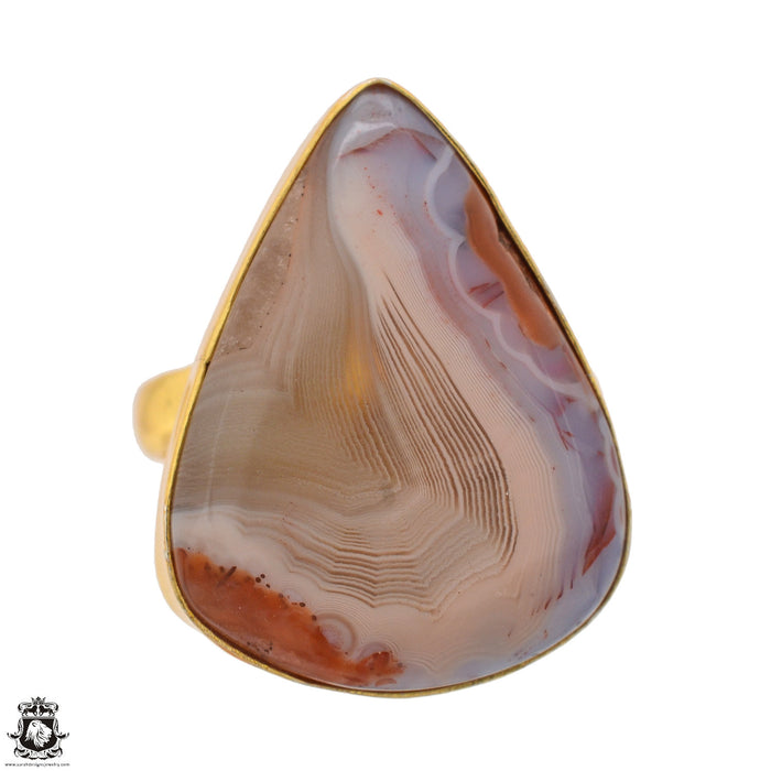 Size 10.5 - Size 12 Ring Laguna Lace Agate 24K Gold Plated Ring GPR1362