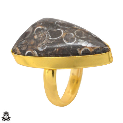 Size 6.5 - Size 8 Adjustable Turitella Agate 24K Gold Plated Ring GPR1710