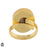 Size 7 - Size 10 Ring Shiva Shell 24K Gold Plated Ring GPR1780