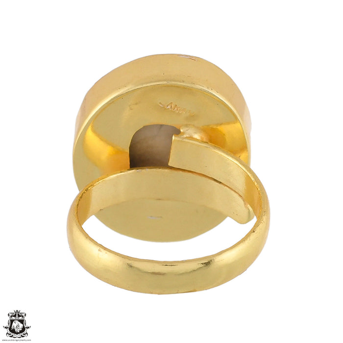 Size 7 - Size 10 Ring Shiva Shell 24K Gold Plated Ring GPR1781