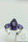 Size 5 Amethyst  Sterling Silver Ring R521